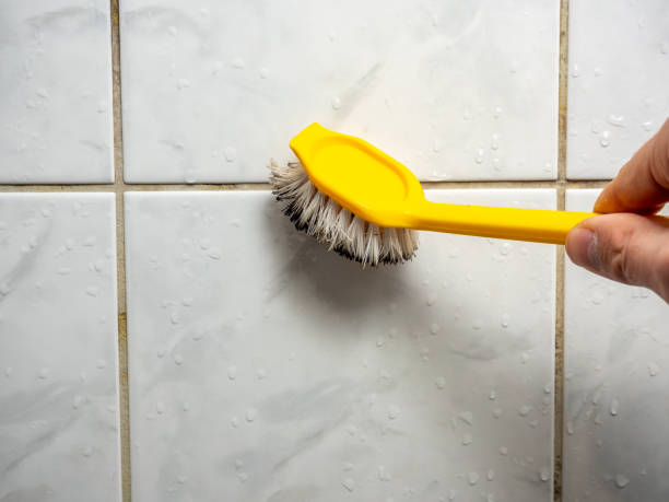 Water Damage Restoration in Braddock, VA