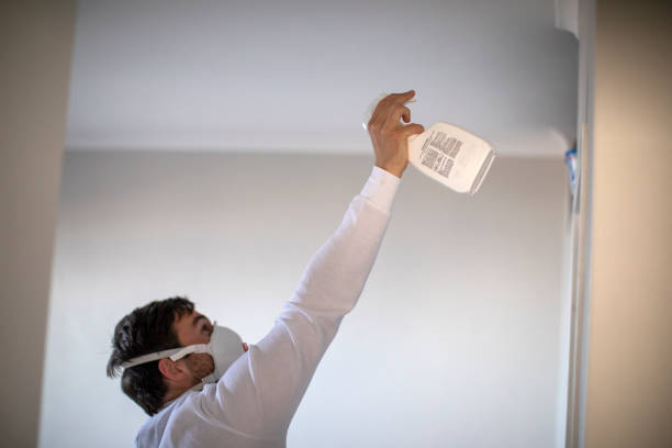 Best Water Damage Restoration  in Braddock, VA