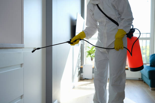 Certified Mold Removal in Braddock, VA